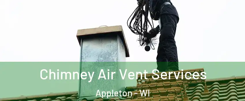  Chimney Air Vent Services Appleton - WI