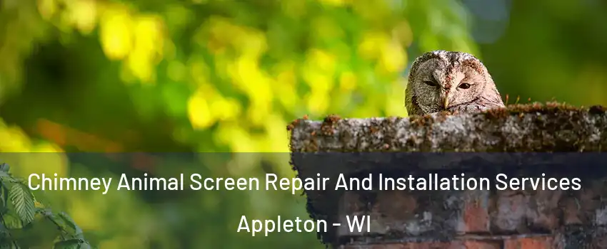  Chimney Animal Screen Repair And Installation Services Appleton - WI