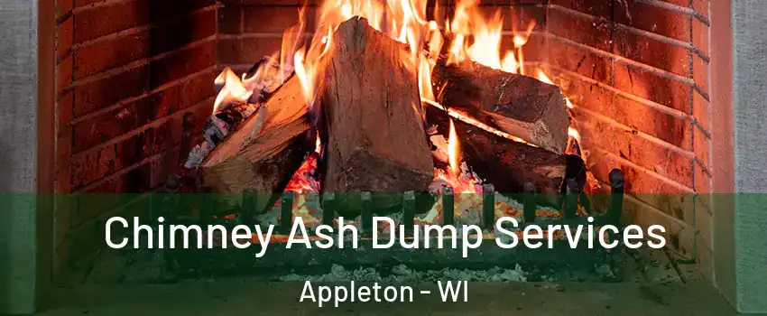  Chimney Ash Dump Services Appleton - WI