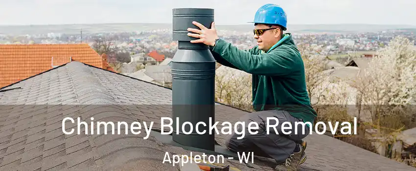  Chimney Blockage Removal Appleton - WI