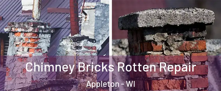  Chimney Bricks Rotten Repair Appleton - WI