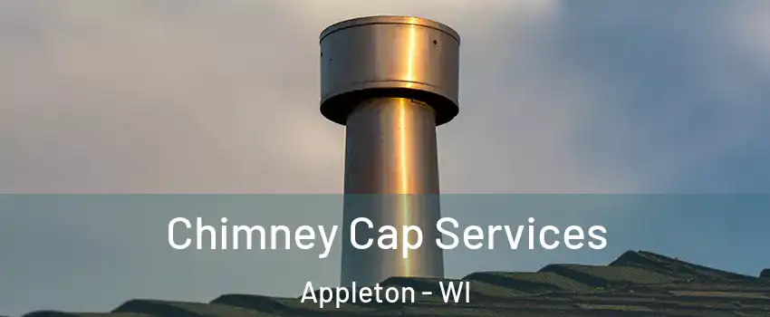  Chimney Cap Services Appleton - WI