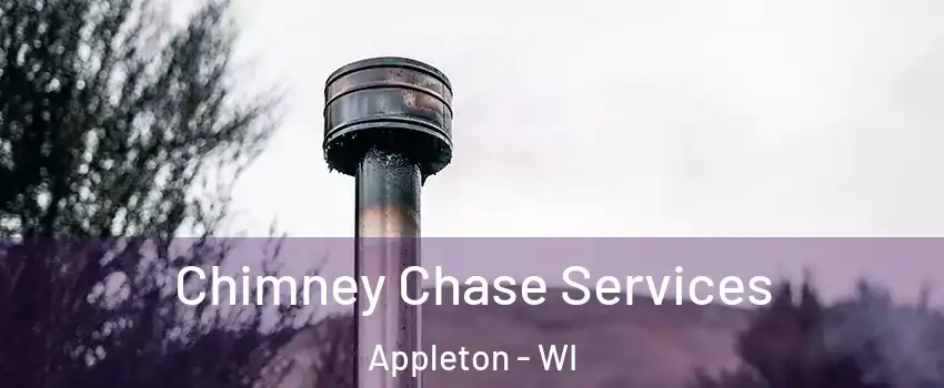  Chimney Chase Services Appleton - WI