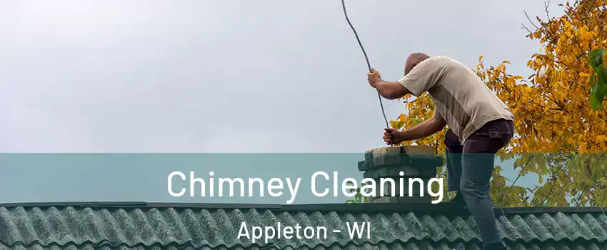  Chimney Cleaning Appleton - WI