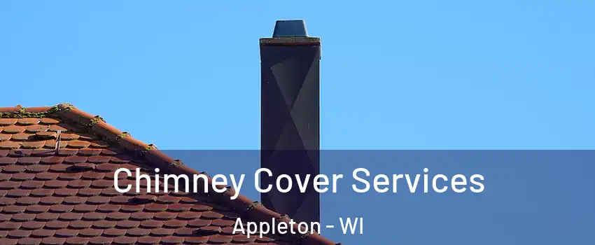  Chimney Cover Services Appleton - WI