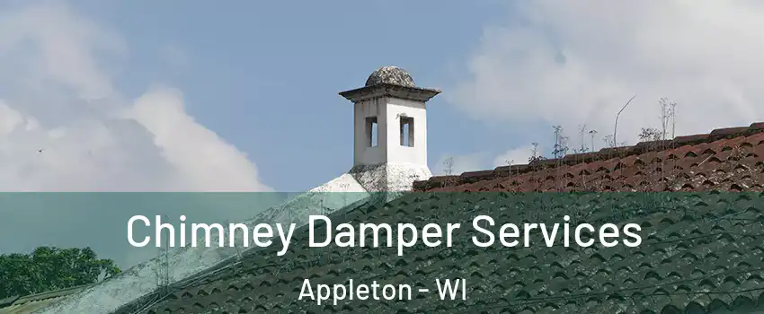  Chimney Damper Services Appleton - WI