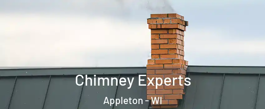  Chimney Experts Appleton - WI