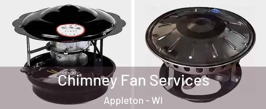  Chimney Fan Services Appleton - WI