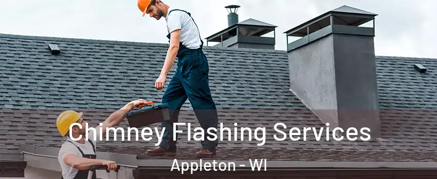  Chimney Flashing Services Appleton - WI
