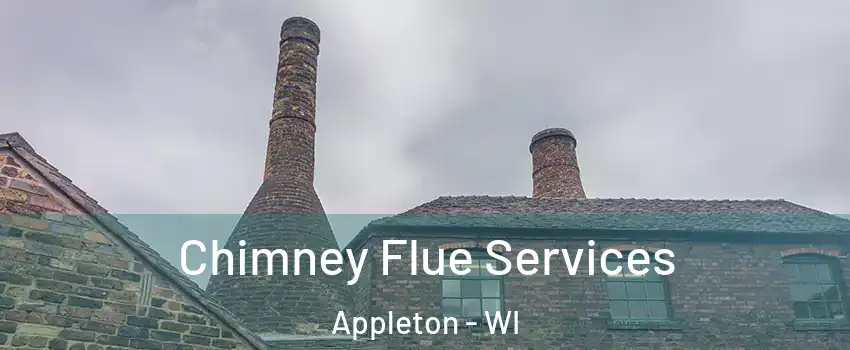  Chimney Flue Services Appleton - WI