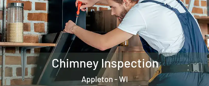  Chimney Inspection Appleton - WI