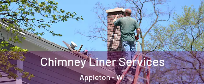 Chimney Liner Services Appleton - WI