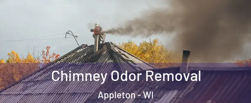  Chimney Odor Removal Appleton - WI
