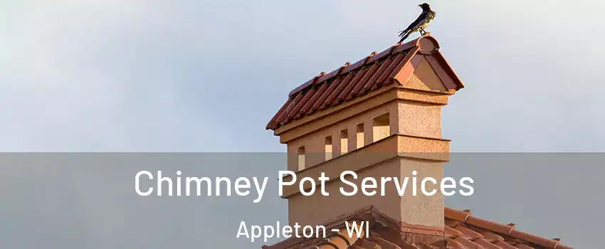  Chimney Pot Services Appleton - WI