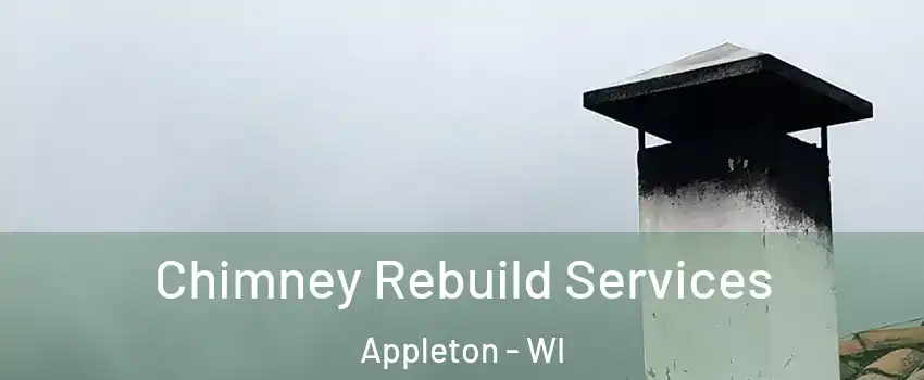  Chimney Rebuild Services Appleton - WI