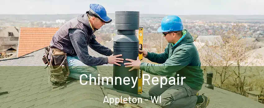  Chimney Repair Appleton - WI
