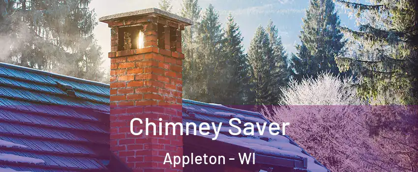  Chimney Saver Appleton - WI