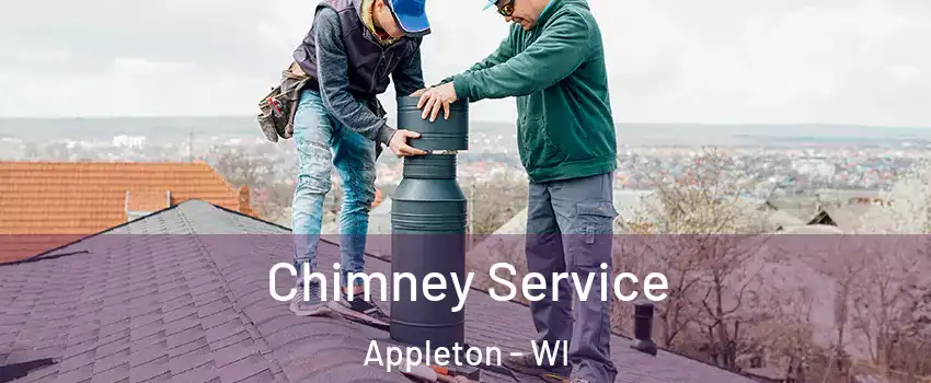  Chimney Service Appleton - WI