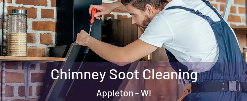  Chimney Soot Cleaning Appleton - WI