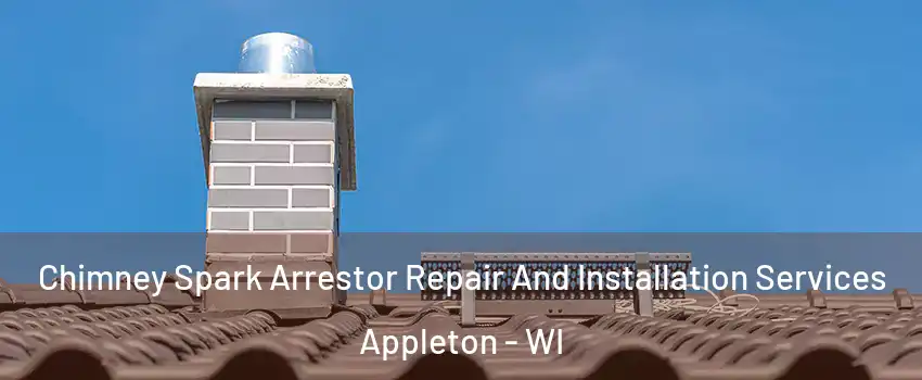  Chimney Spark Arrestor Repair And Installation Services Appleton - WI