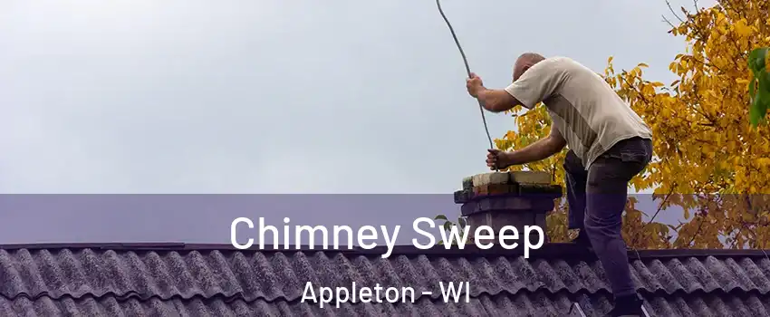  Chimney Sweep Appleton - WI