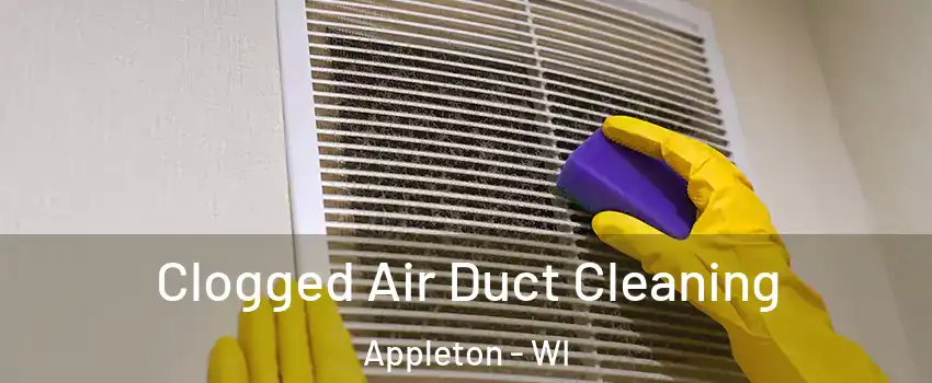  Clogged Air Duct Cleaning Appleton - WI