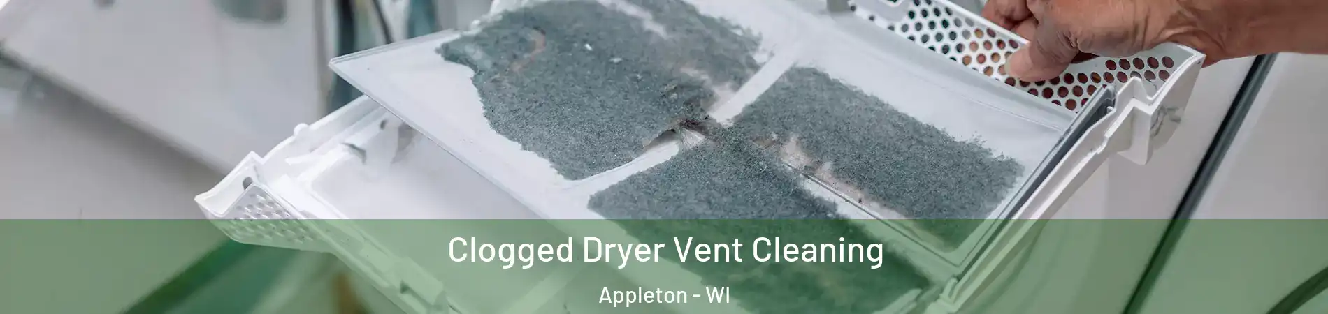  Clogged Dryer Vent Cleaning Appleton - WI