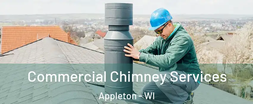  Commercial Chimney Services Appleton - WI