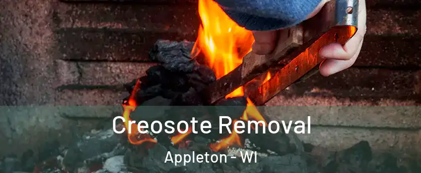  Creosote Removal Appleton - WI