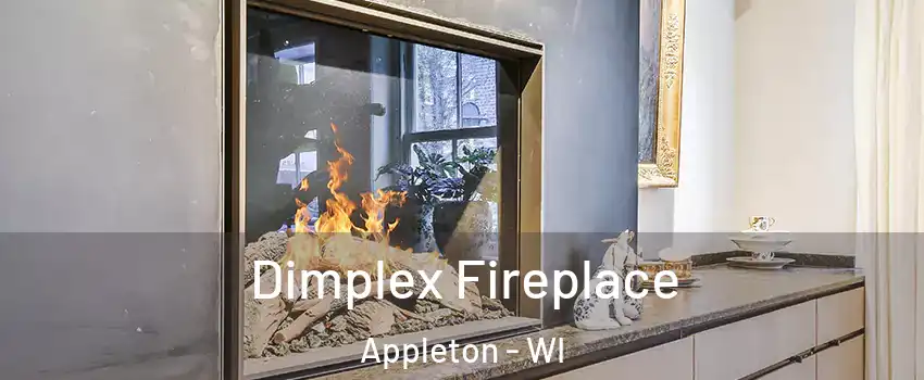  Dimplex Fireplace Appleton - WI