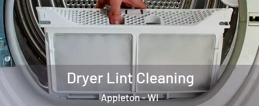  Dryer Lint Cleaning Appleton - WI