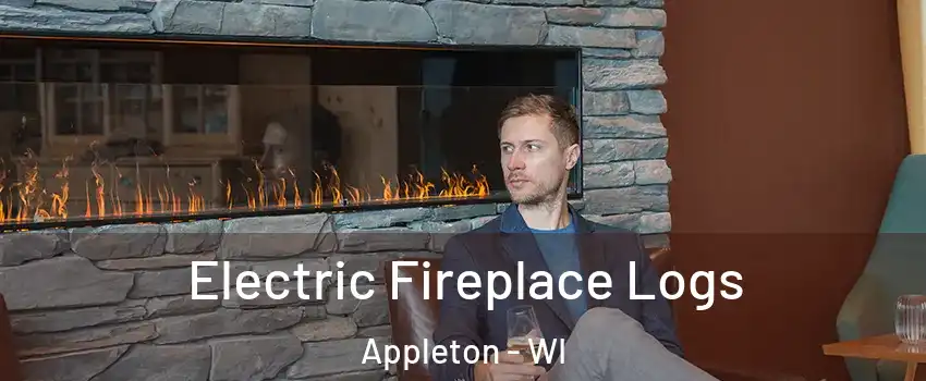  Electric Fireplace Logs Appleton - WI