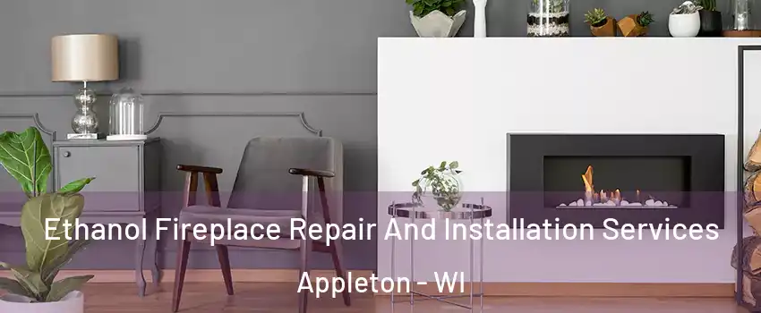  Ethanol Fireplace Repair And Installation Services Appleton - WI