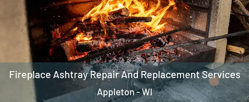  Fireplace Ashtray Repair And Replacement Services Appleton - WI