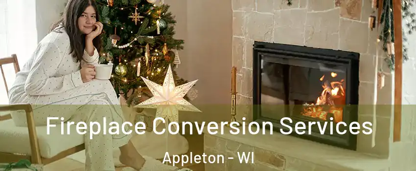  Fireplace Conversion Services Appleton - WI