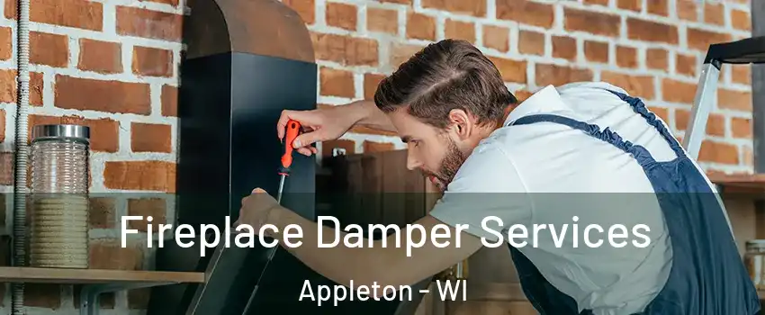  Fireplace Damper Services Appleton - WI