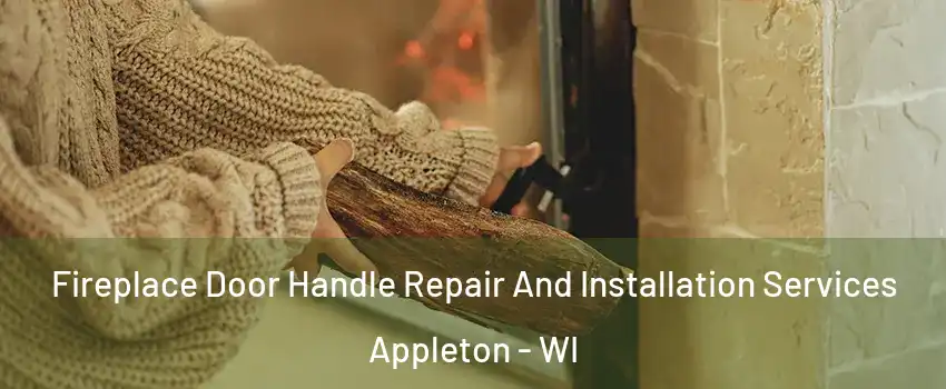  Fireplace Door Handle Repair And Installation Services Appleton - WI