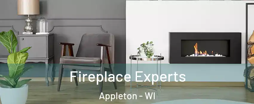  Fireplace Experts Appleton - WI