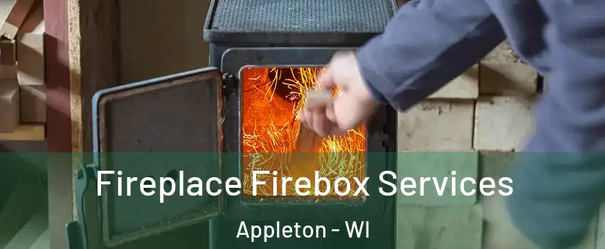  Fireplace Firebox Services Appleton - WI