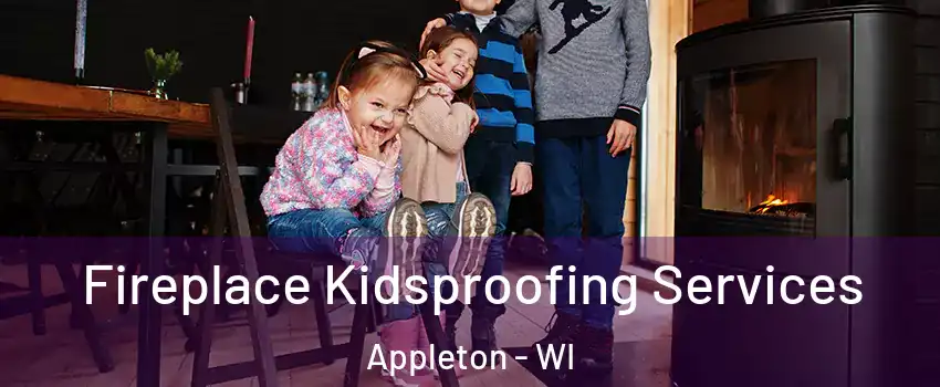  Fireplace Kidsproofing Services Appleton - WI