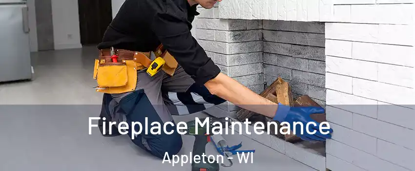  Fireplace Maintenance Appleton - WI