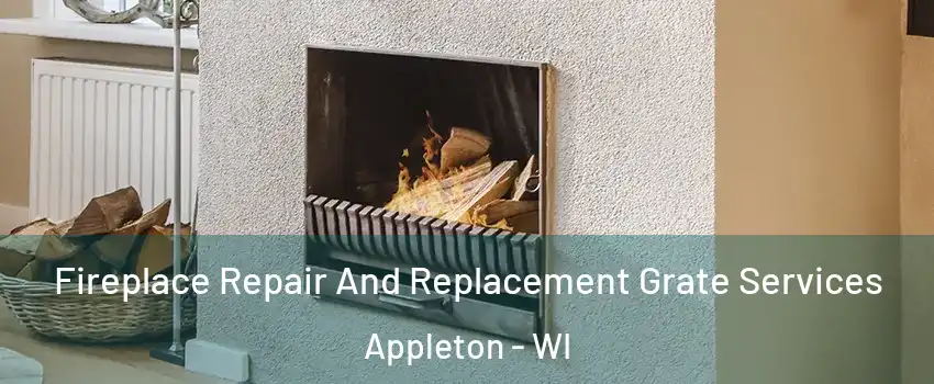 Fireplace Repair And Replacement Grate Services Appleton - WI