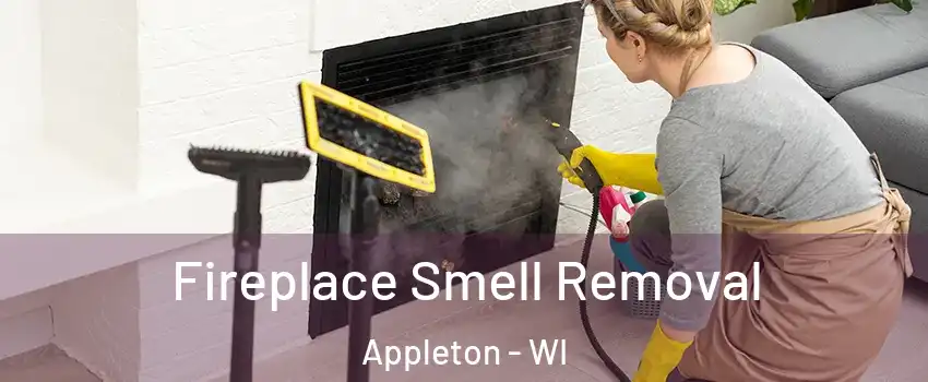  Fireplace Smell Removal Appleton - WI