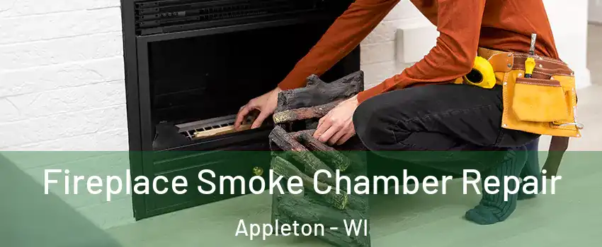  Fireplace Smoke Chamber Repair Appleton - WI