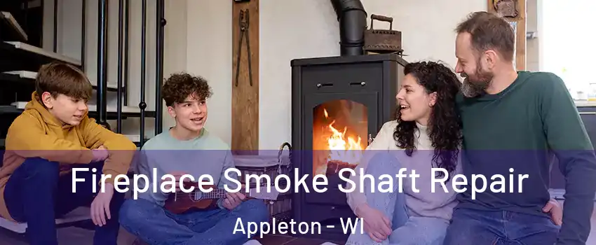  Fireplace Smoke Shaft Repair Appleton - WI