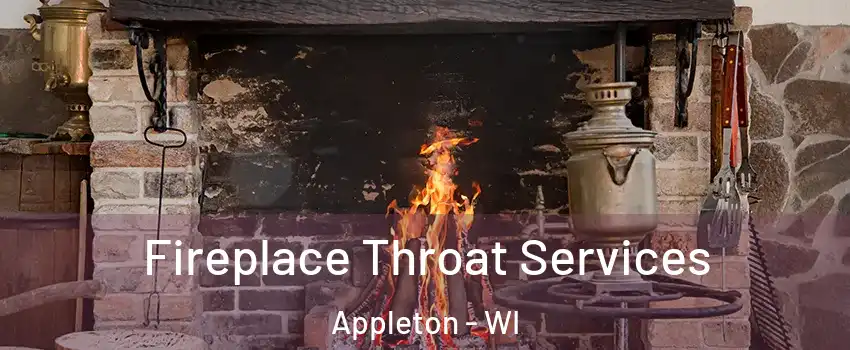  Fireplace Throat Services Appleton - WI