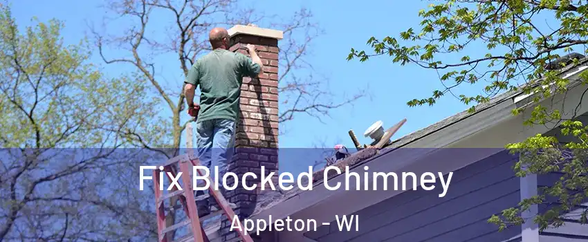  Fix Blocked Chimney Appleton - WI