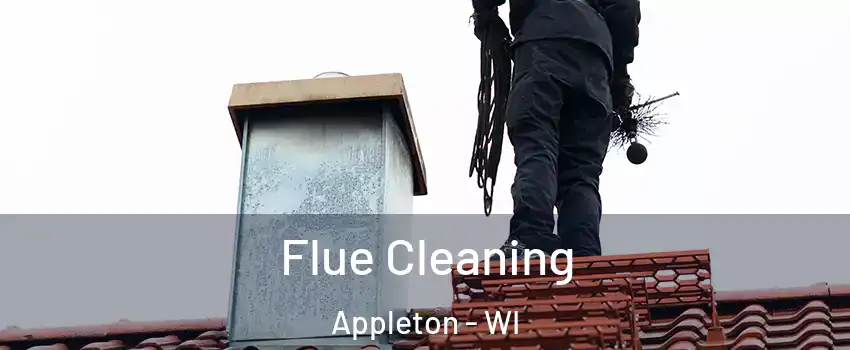  Flue Cleaning Appleton - WI