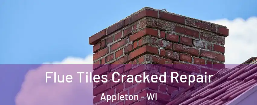  Flue Tiles Cracked Repair Appleton - WI