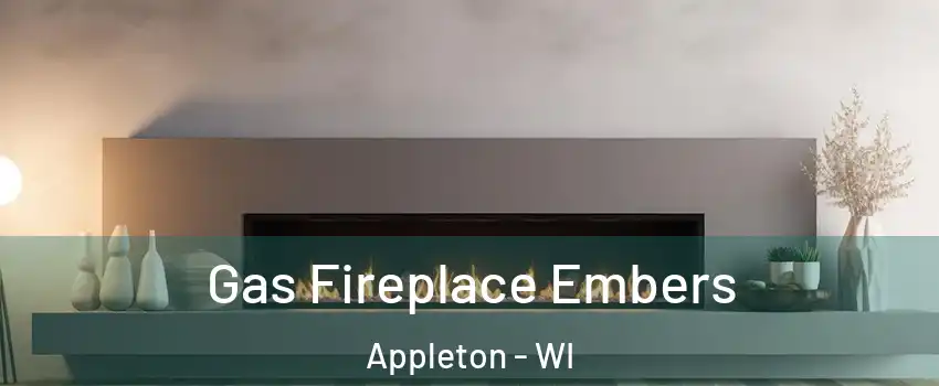  Gas Fireplace Embers Appleton - WI